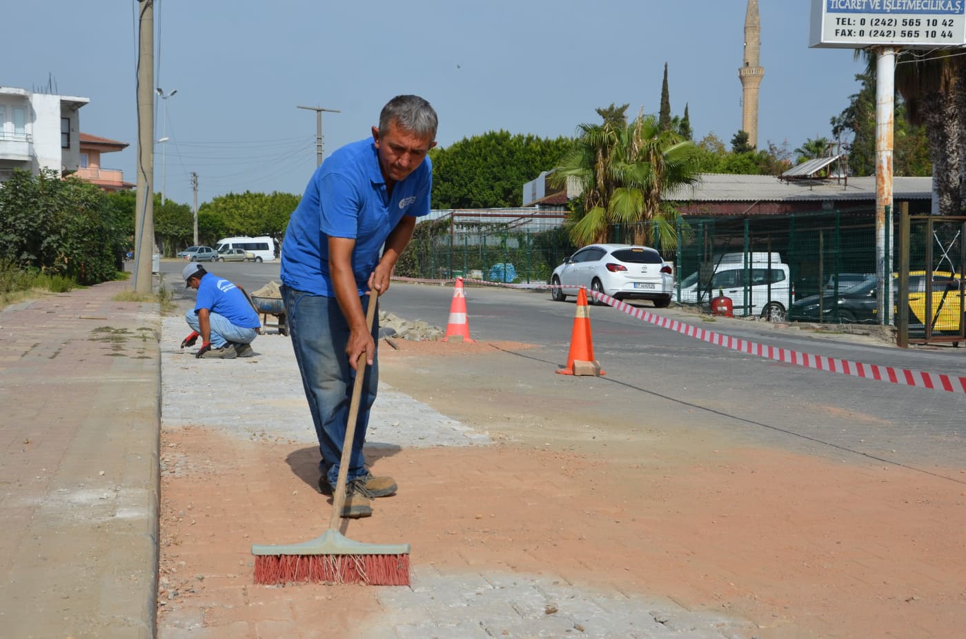 ANTPARKE 3 121074373 347211193159661 852113047191479037 n c7208