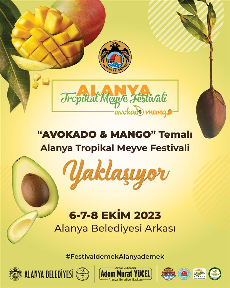 AVAOKADO FESTİVALİ 2 5c07a