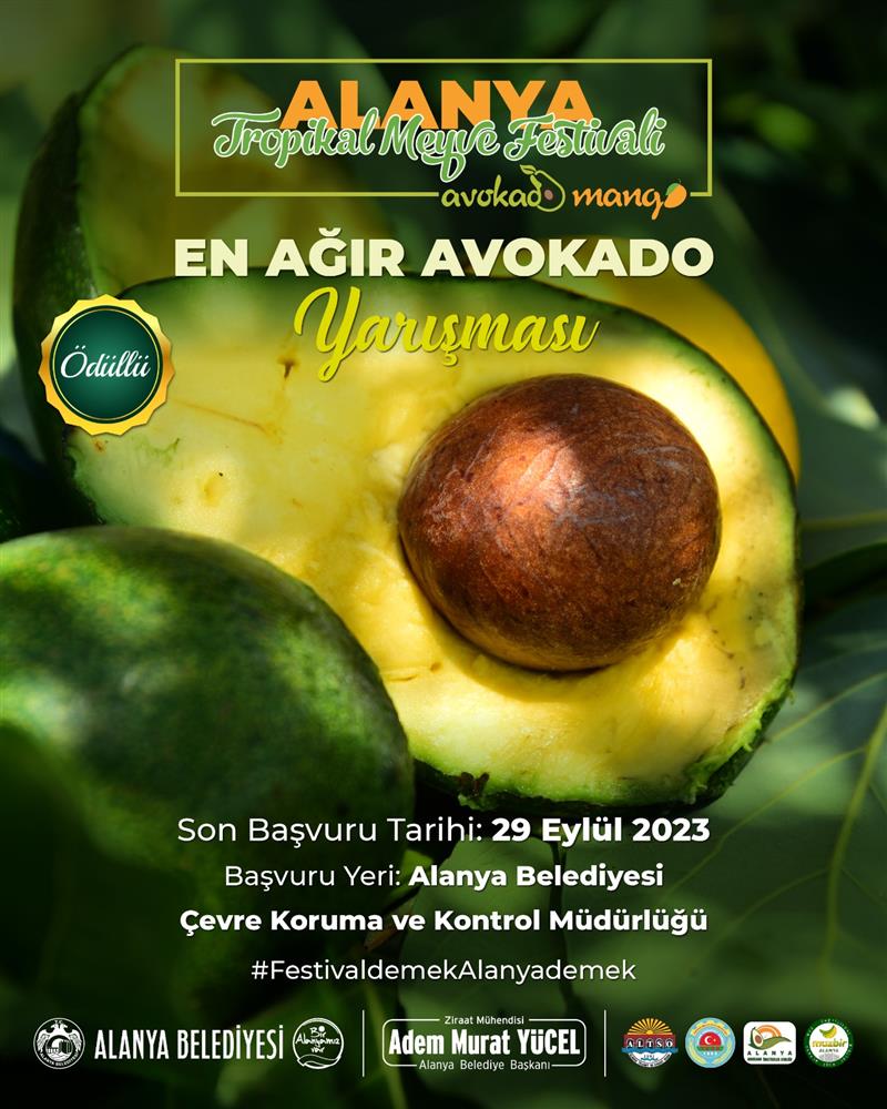 AVAOKADO FESTİVALİ 3 10e14