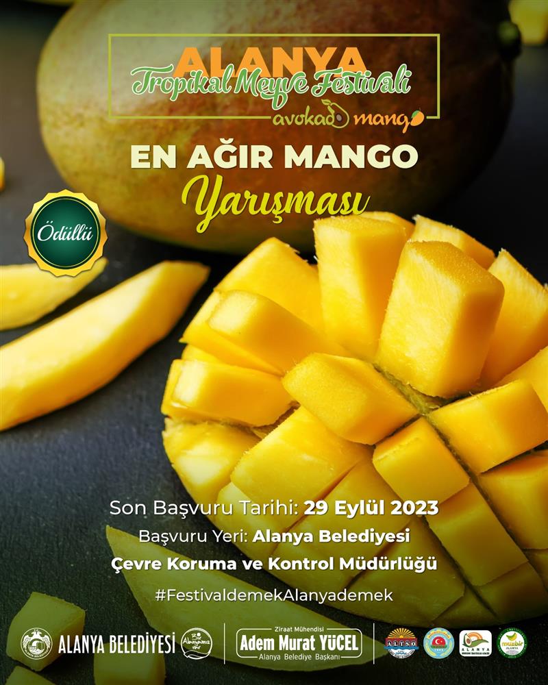 AVAOKADO FESTİVALİ 5 ea91e
