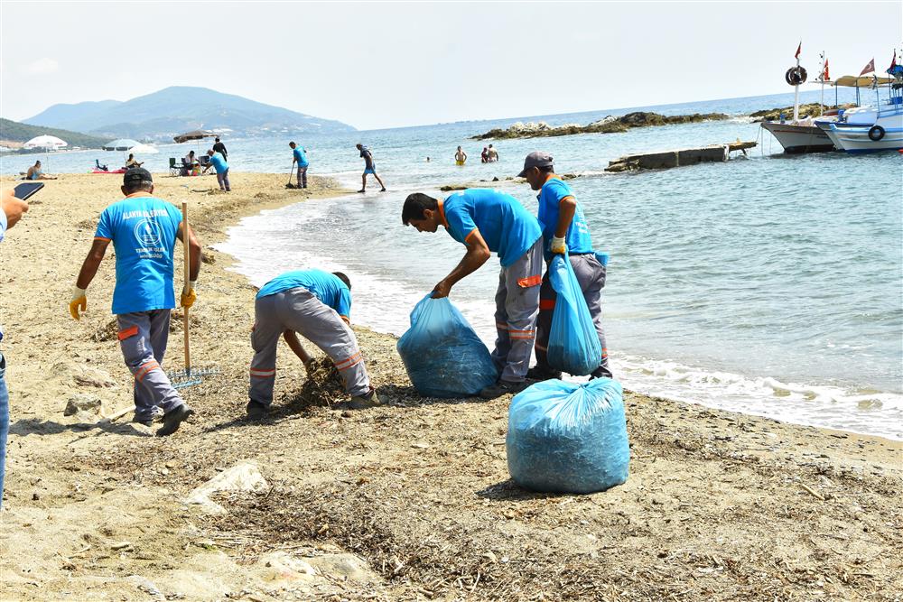 BLD.TMZ.5 57781636829428544 5ff52