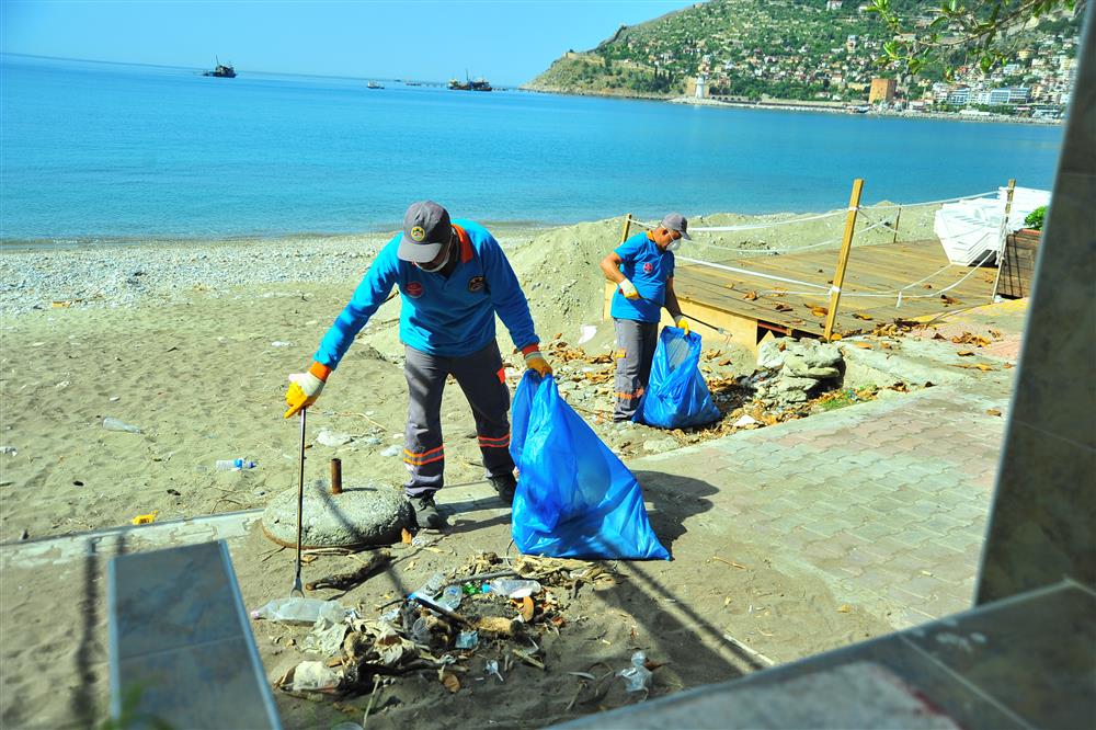 BLD.TMZ.6 531390976268402816 f675b