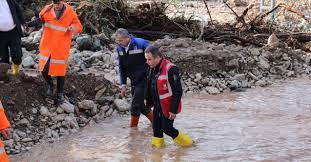 BÖCEK FİNİKEDE 2 02dce