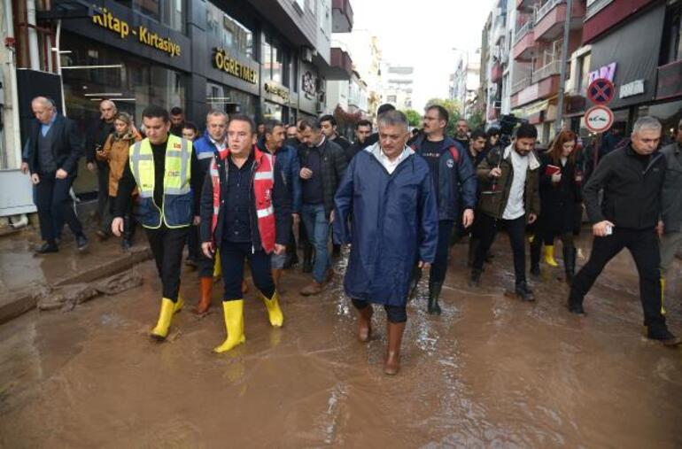 BÖCEK FİNİKEDE 3 145a3