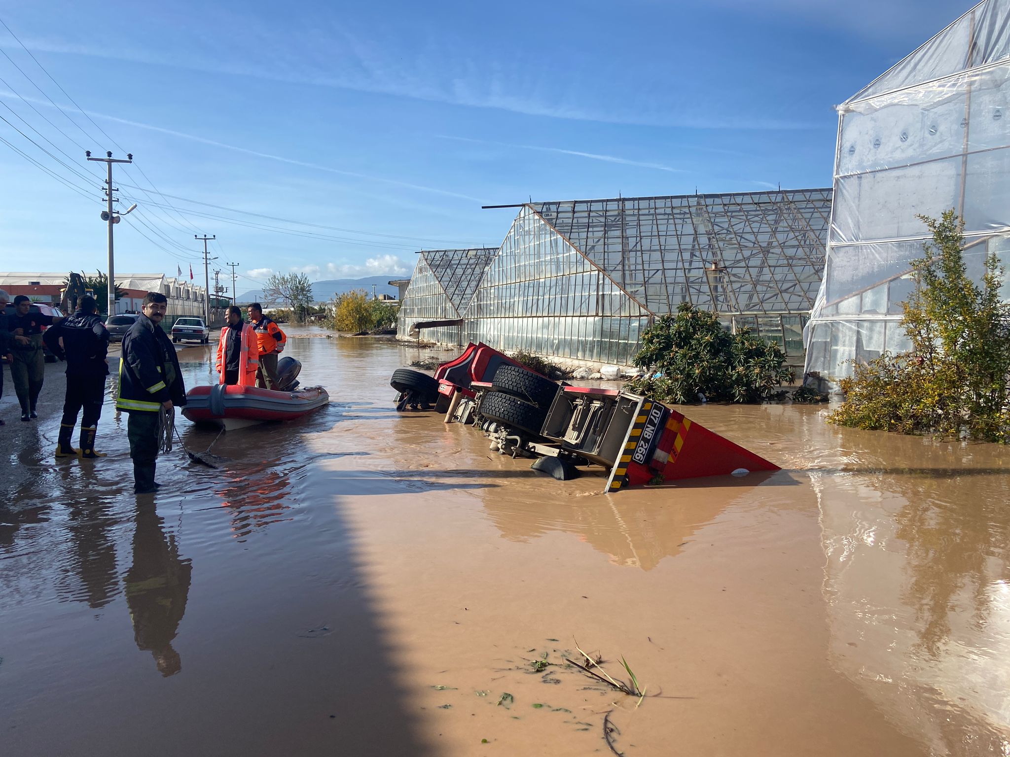 BÖCEK FİNİKEDE 4 dab5f