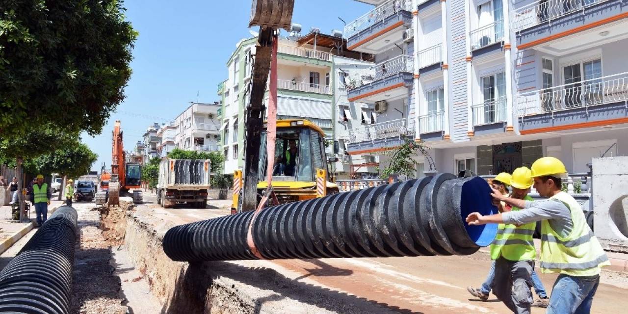 BÖCEK VE ASAT 2 eb010