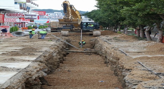 BÖCEK VE ASAT 3 ca3c0