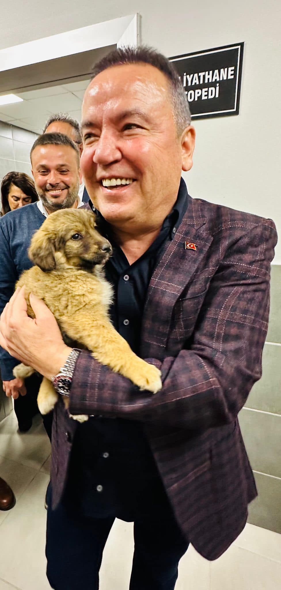 BÖCEK VE EVCİL HAYVANLAR 2 a83a9