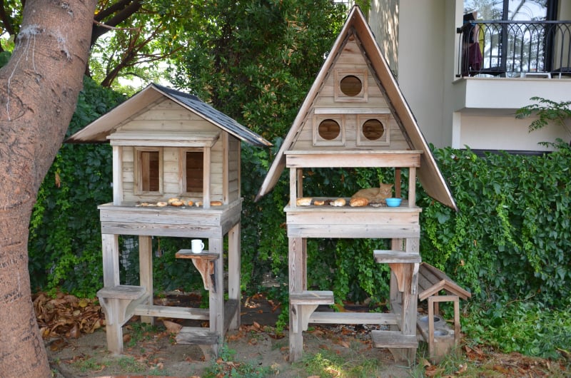 CAN DOSTLAR 3 72594039 512793145944433 2510368102013730816 n 70bc2