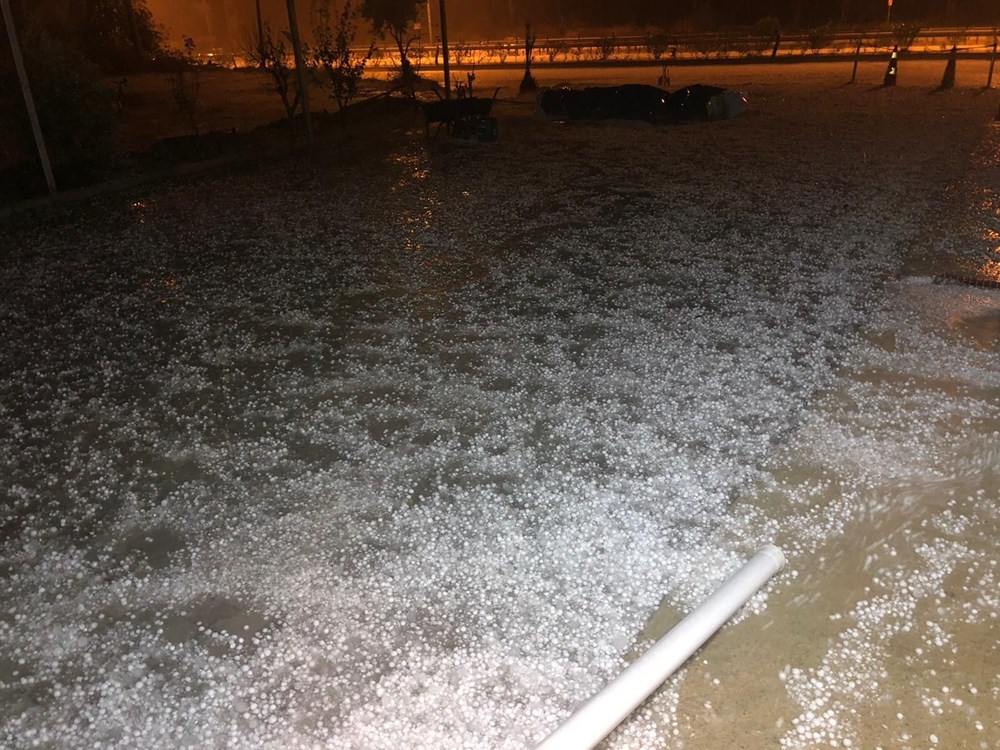 CEVİZ DOLU 2 he7LvLK33kOOxqd1W1lGvw d9925