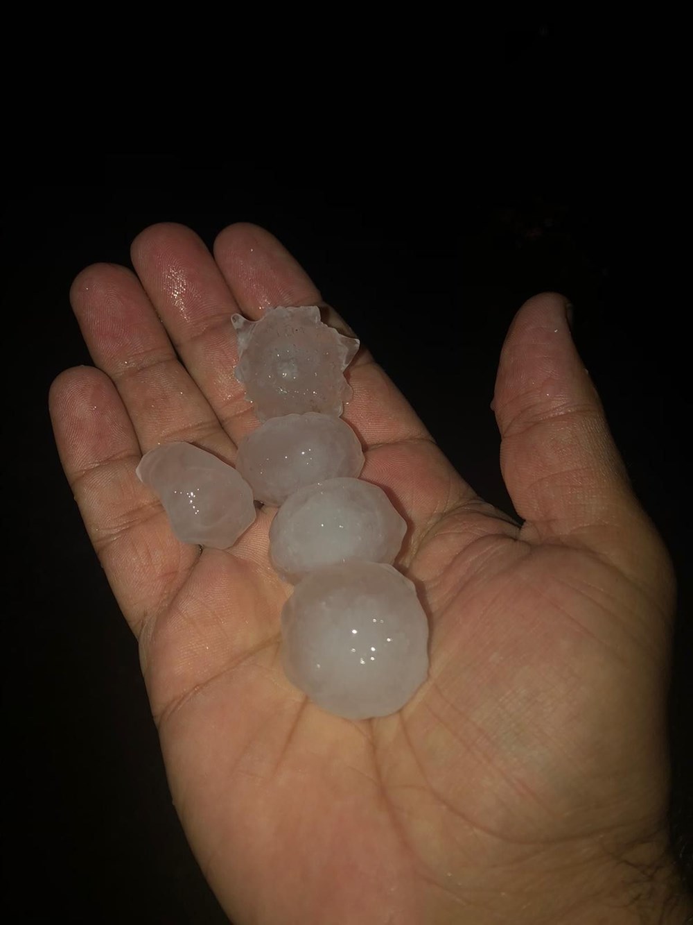 CEVİZ DOLU 3 JEUpXLQrW0iZ d4Ivpjxbw cfdc5