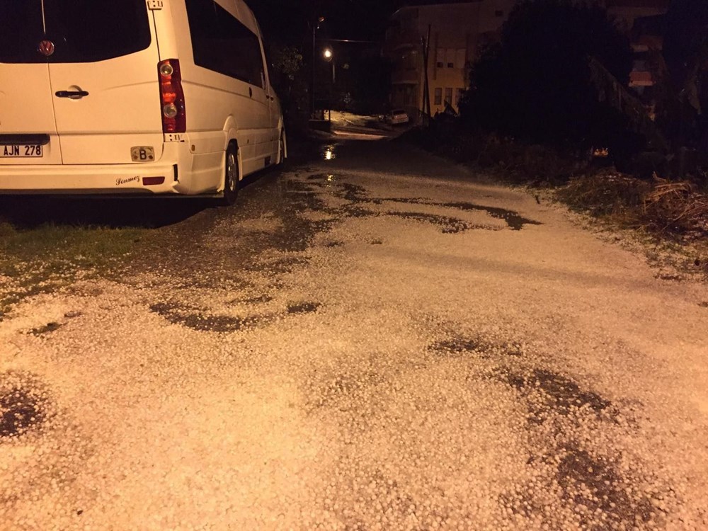 CEVİZ DOLU 4 Bf KmdLUjE6qHyipyZ0wEQ f5c22