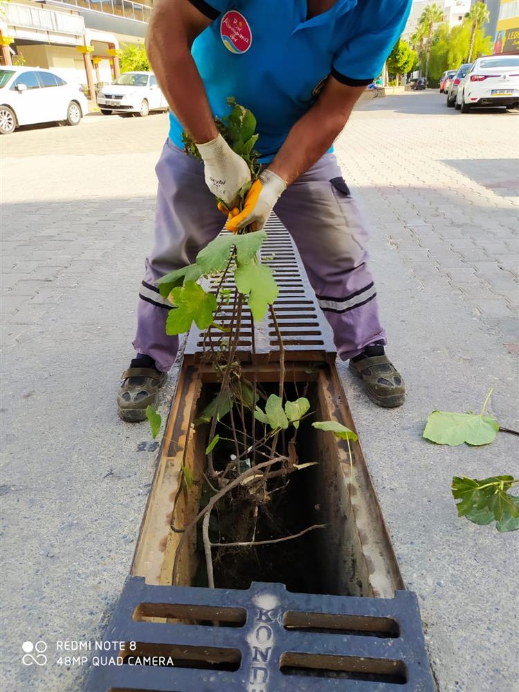 DERE 3 217395600954407424 d5341