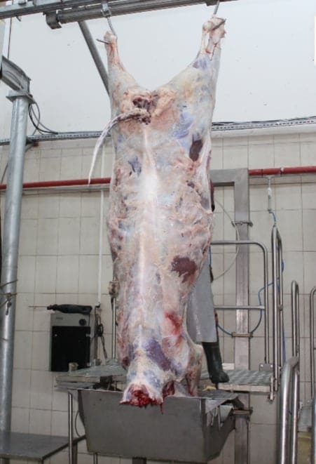 ET NAKİL ARACI 3 130806814 172840801189948 152937977730389906 n 4d956