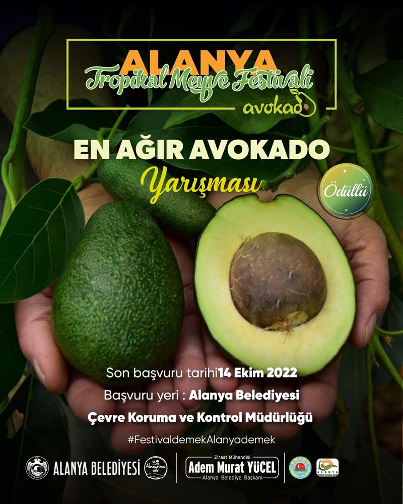 FESTIVAL 3jpeg 690a2