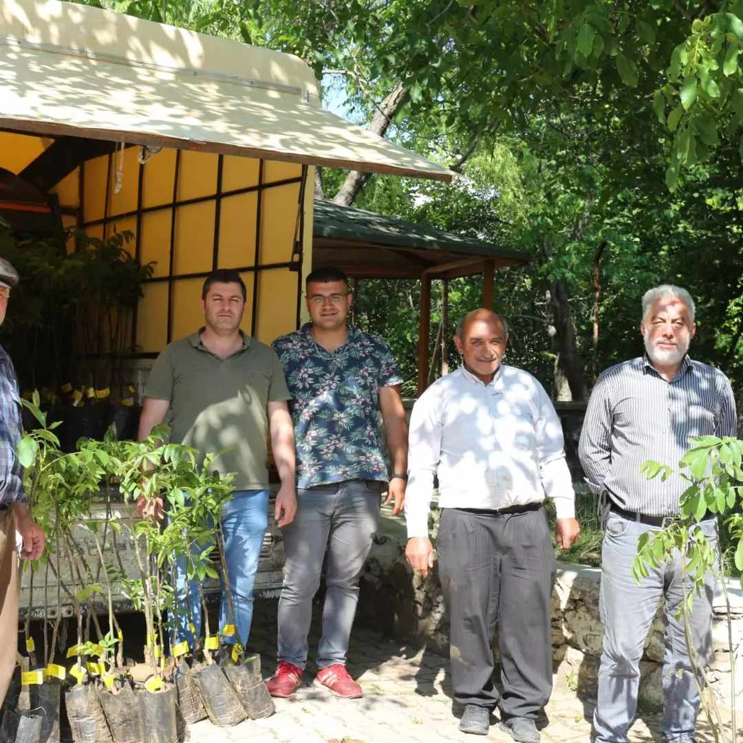 FİDAN DAĞITIMI 5 50ba7