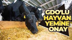 GDOLU HAYVAN YEMİNE ONAY 3 f67f4