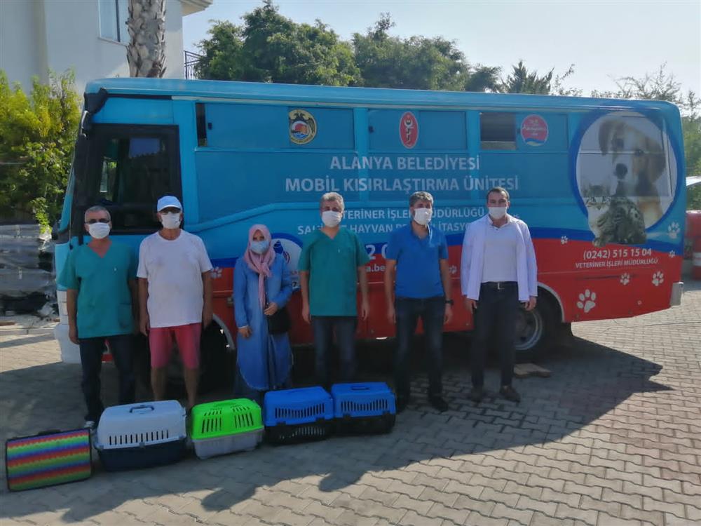 HAYVAN BAKIM 3 761451200583913664 e41ed