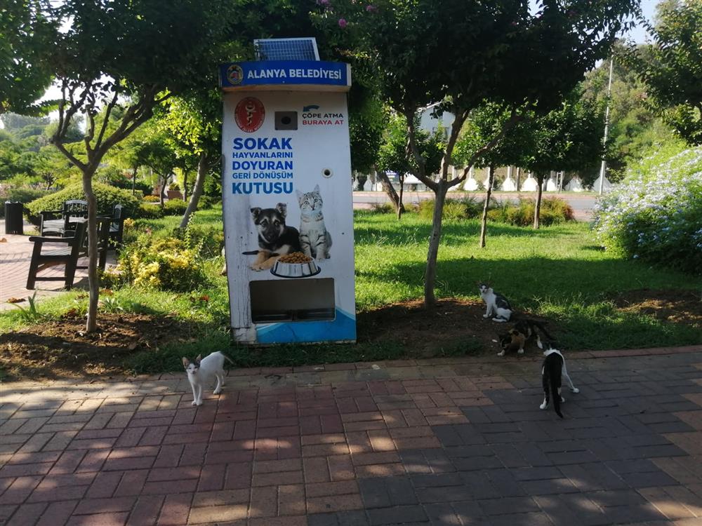 HAYVAN BAKIM 5 63786804458996064 c29ba