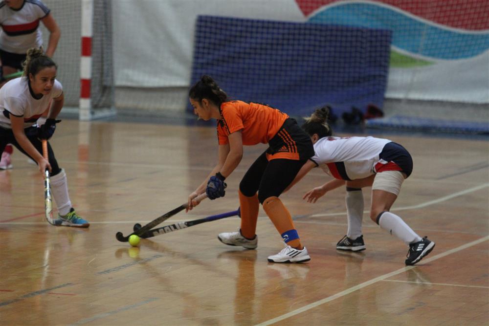 HOKEYDEN 5 699244096898144256 92eb1