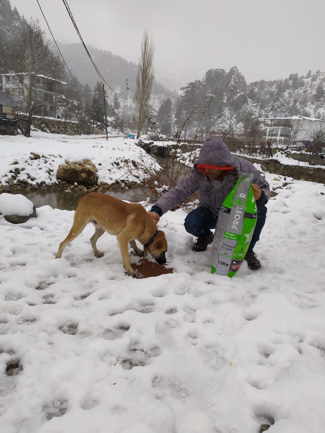 Hayvanlara bakım 2 f7dd3