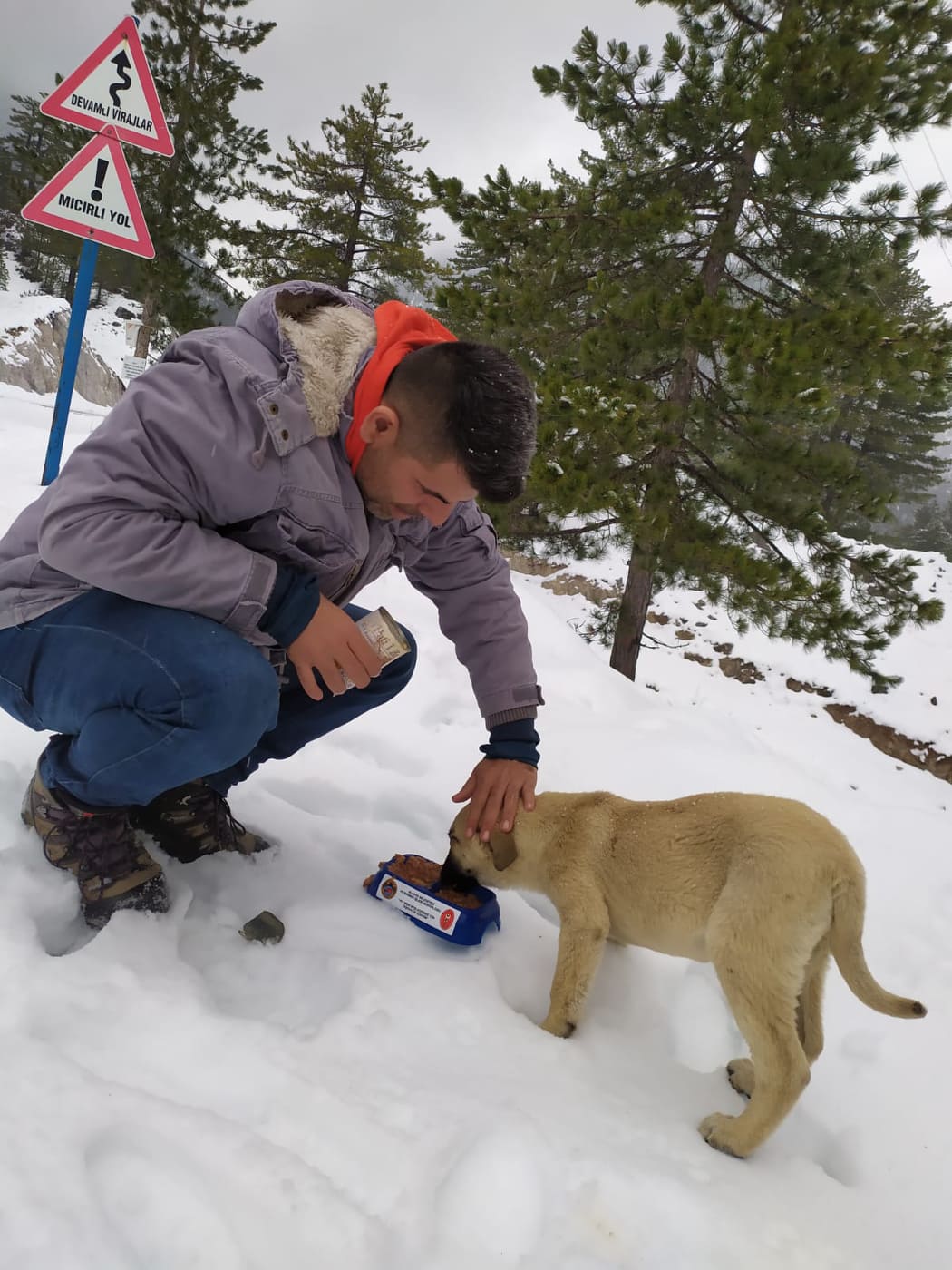 Hayvanlara bakım 4 d4f1b