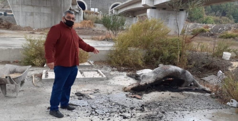 KATIR 2 128555423 191297765885412 1703842315396325540 n f3708