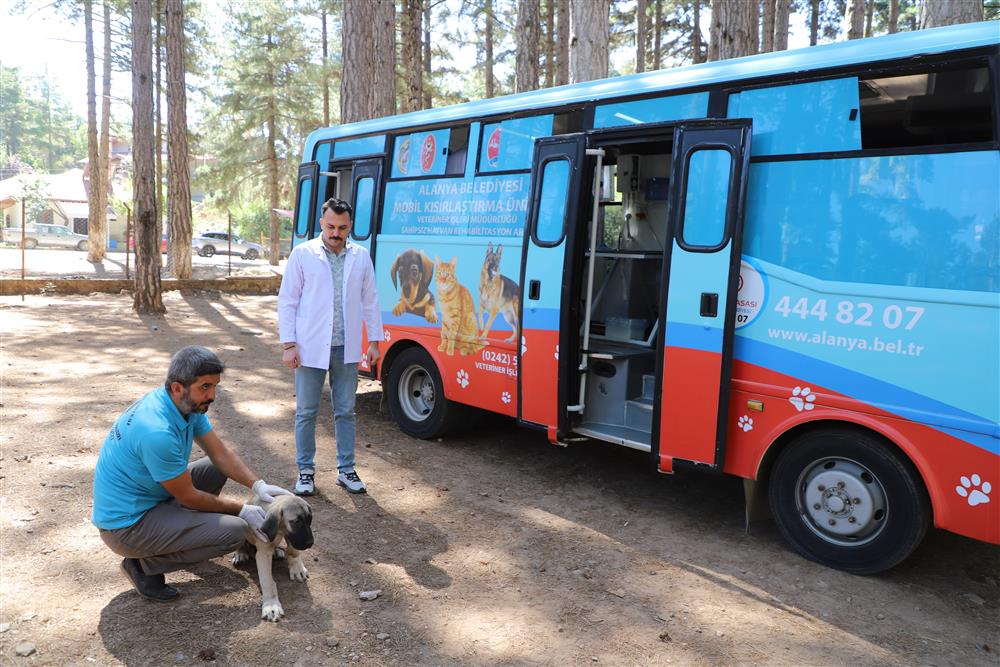 KISIRLAŞTIRMA 3 edc6c