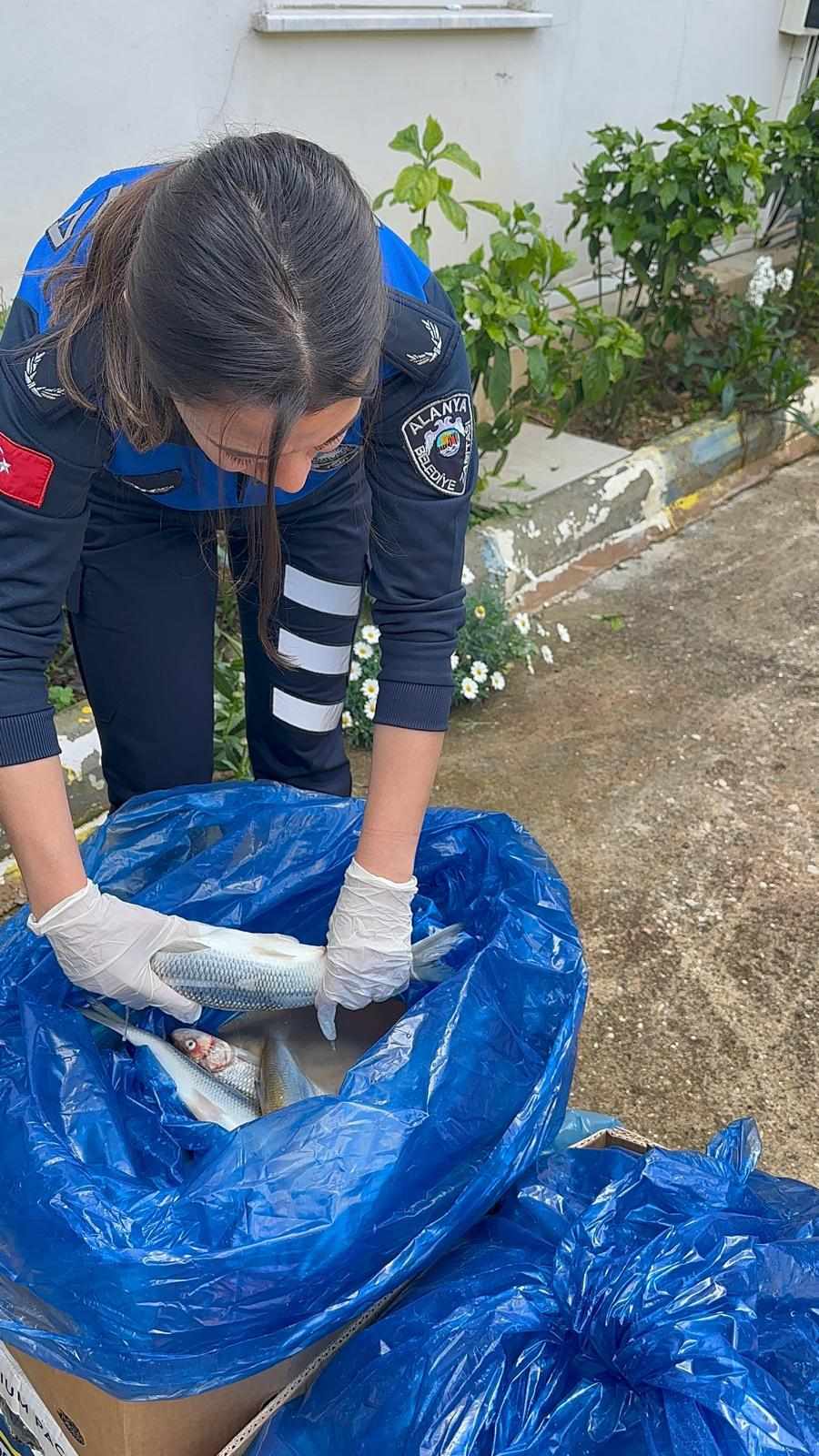 KOKMUŞ BALIKLAR 2 485896693 1010641660484067 4496609834548502838 n cfc55