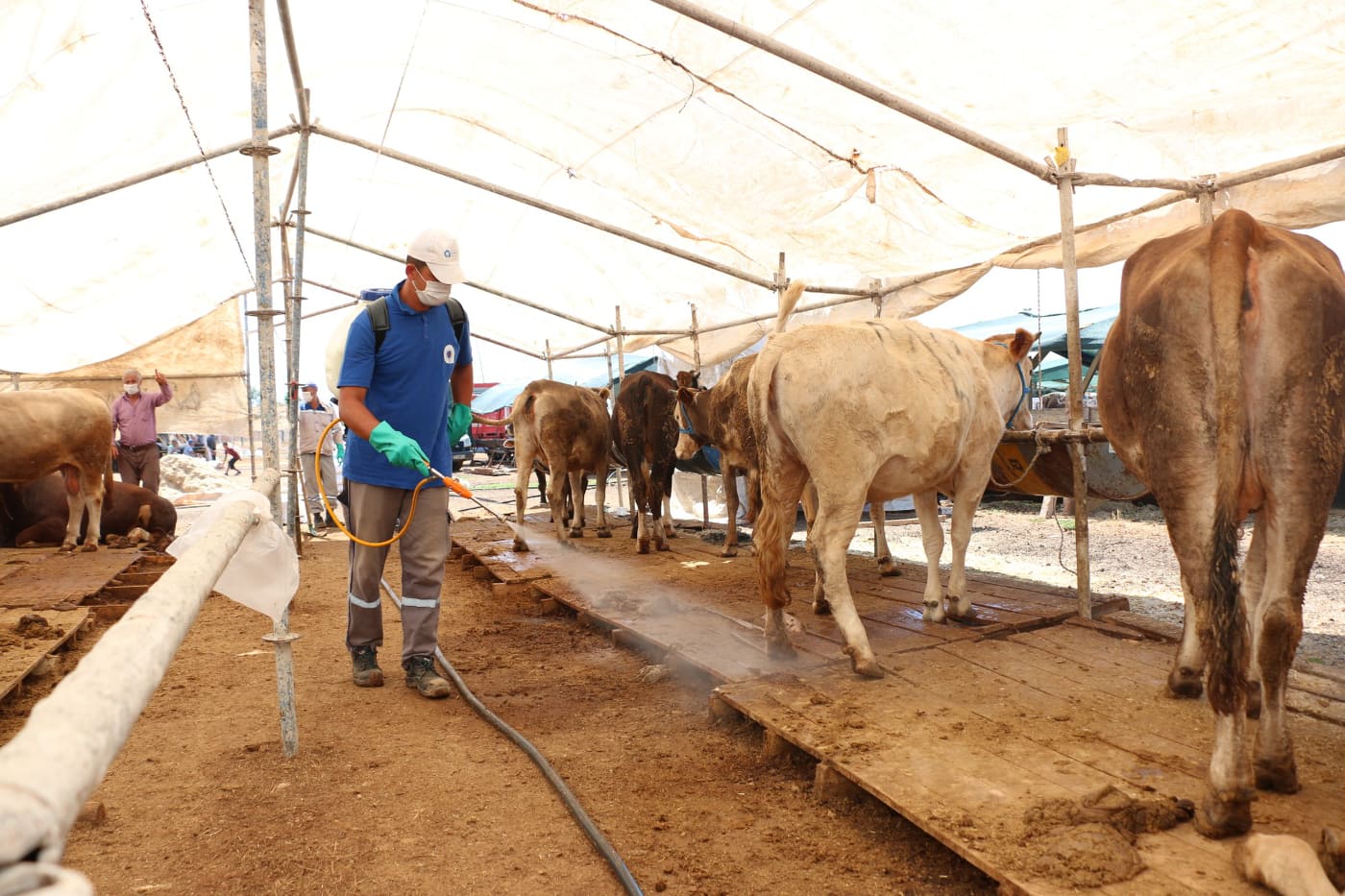 KURBAN ALANI 4 109942632 634675017406092 8419339269493275707 n c794a