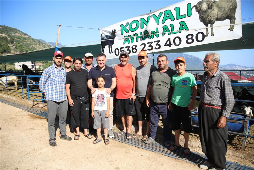 KURBAN SATIŞ YERLERİ 5 7ede3