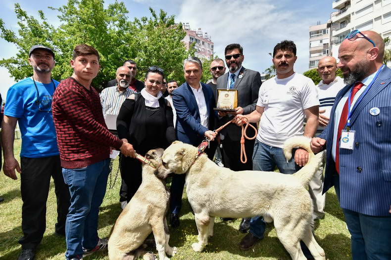 KÖPEK IRK YARIŞMASI 3 6ae89