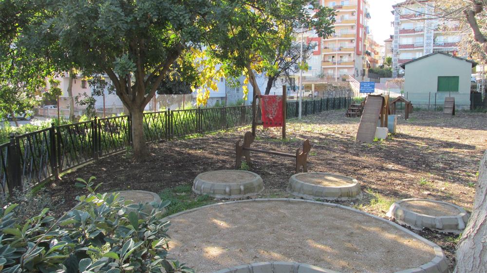 KÖPEK PARKI 2 250447568645656832 24e24