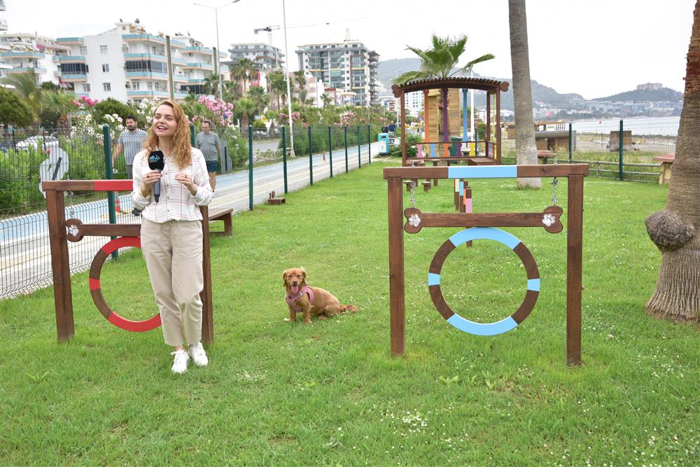 KÖPEK PARKI 3jpg 6e055