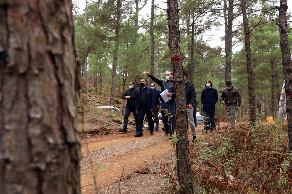 MACERA PARKI 2 626247104568795328 1aff5