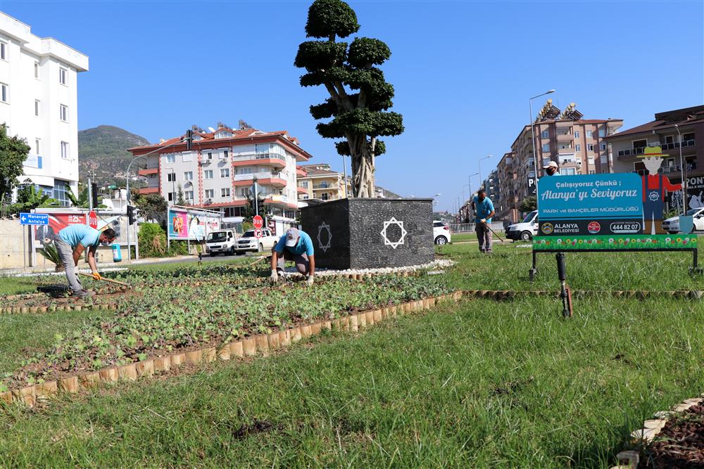 MEVSİMLİK ÇİÇEK 3 661179712996346112 73954