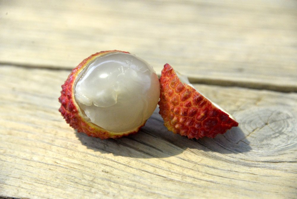 MEY 2 6214ea85 6b18 425c b7a5 04ee5181dcf1 887e0