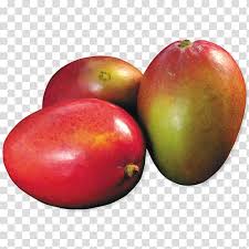 MEY MANGOindir 9 f7423