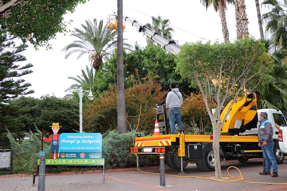 PALMOŞ 2 107248248537092544 6f160