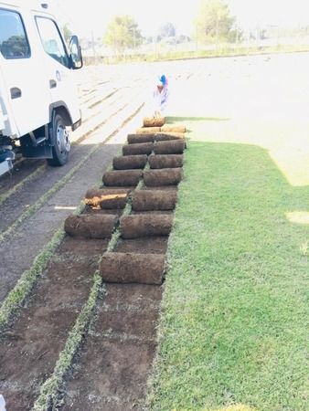 RULOÇİM 4 buyuksehir belediyesi rulo cim uretim tesisi kurdu 2 5d2e4