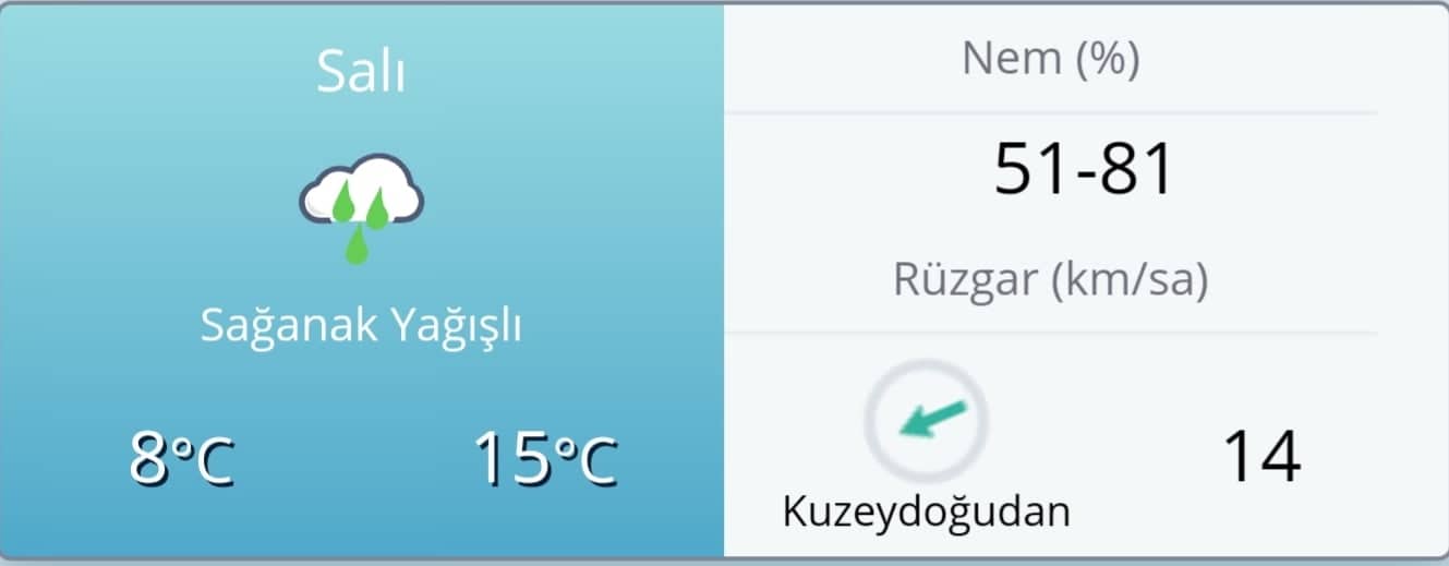 SAL84826766 549278615676483 7964990148620320768 n 74d9f