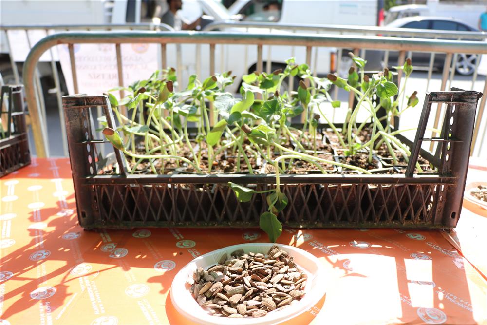 SUKABAĞIFİDESİ 2 ed5a7