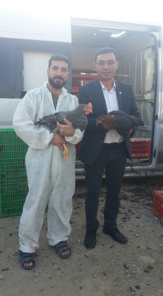 TAVUK 174713418 3186509758057312 2201590293080309760 n c8107