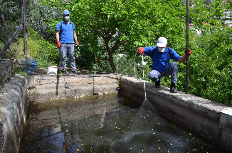 WhatsApp Image 2019 05 02 at 14.36.272 d59f8