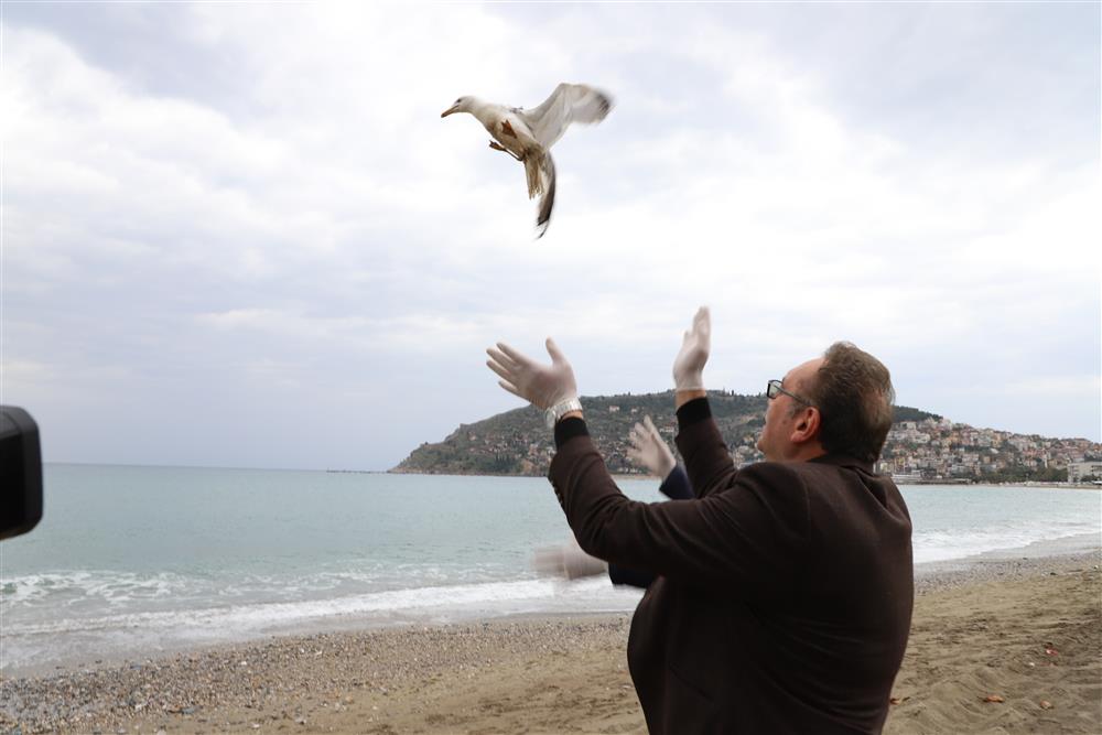 YARALI MARTI 2 642817088841717248 f7a73