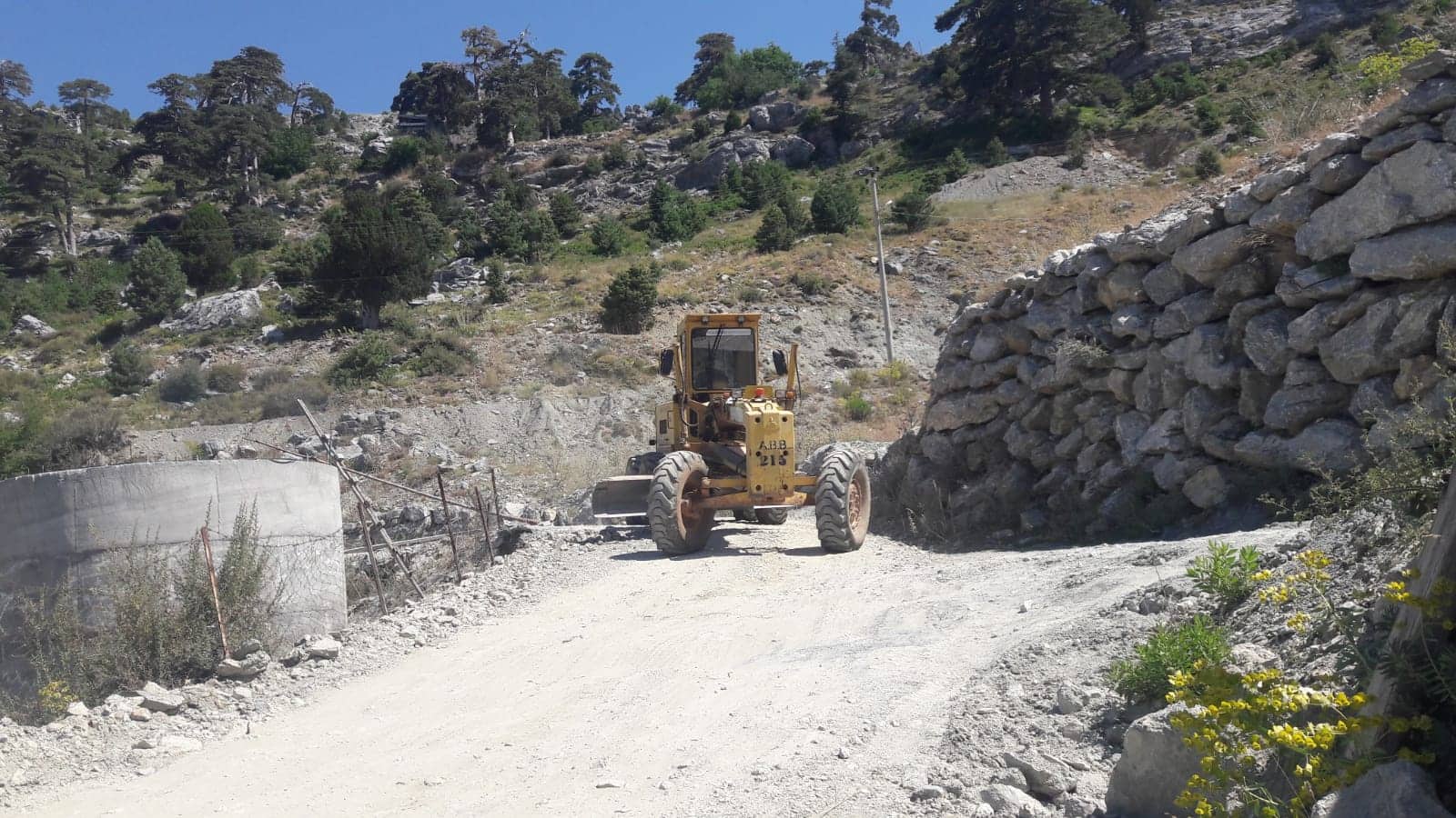 YOLLAR 5 07f09