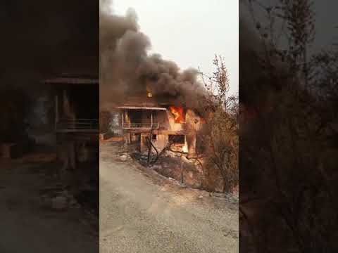 Yücel yangın alanlarında 14 2f4b8