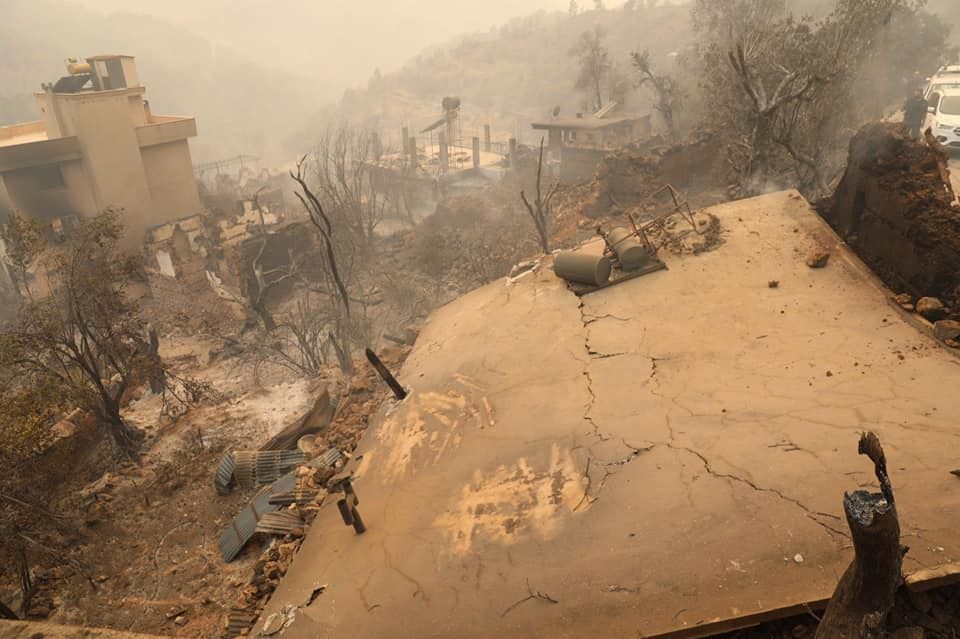 Yücel yangın alanlarında 15 541e1