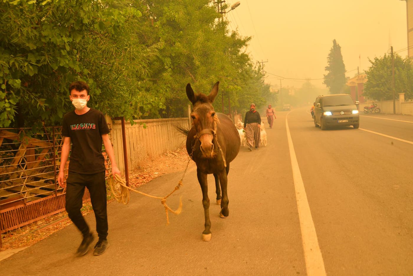 Yücel yangın alanlarında 4 d239f