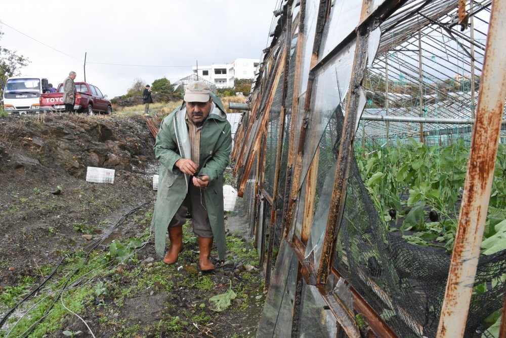 ZARAR 3 AW891019 02 8e4bb